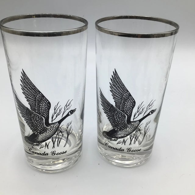 Transparent Vintage Federal Platinum Rim Game Bird/Sportsman Cocktail Glasses - Set of 8 For Sale - Image 8 of 12
