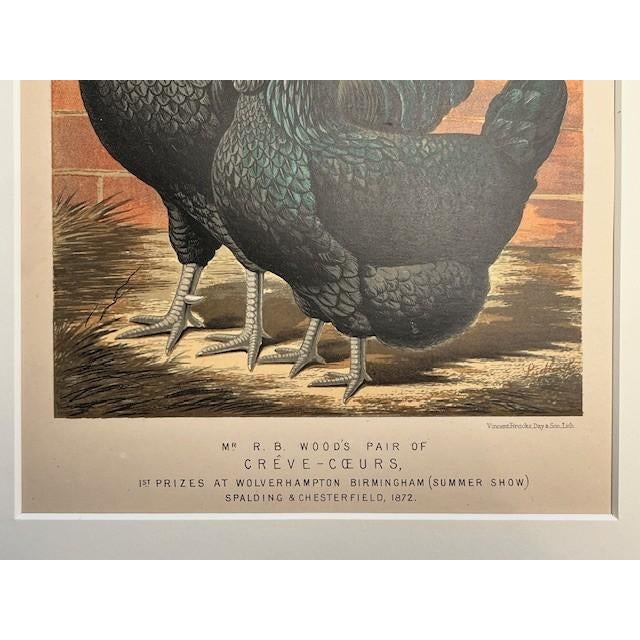 Shabby Chic Pair 1872 Vintage Lithos, - Hens + Cocks Reproduction For Sale - Image 3 of 8
