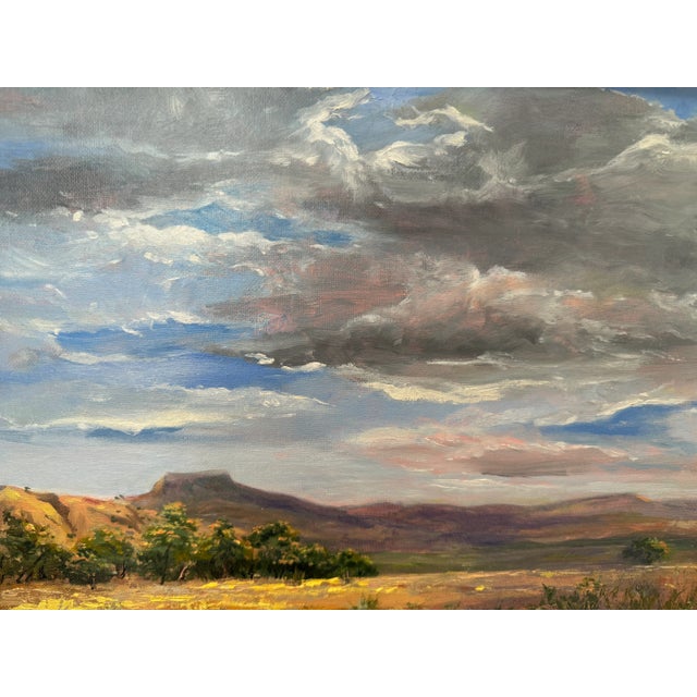 Contemporary Original Doris Mady Post Impressionist Landscape Plein Air, Framed For Sale - Image 3 of 6