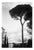 Paul Cooklin, Rome Italy 00207, Edition of 50 For Sale