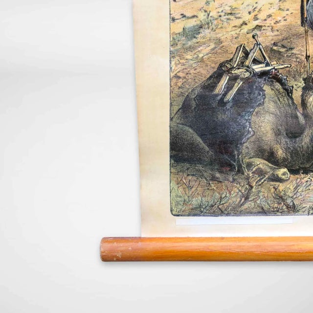 Mid-Century Modern Vintage School Wall Chart, 1950s For Sale - Image 3 of 8