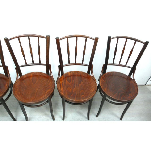 Set of Vienna Coffee House Chairs from Jacob & Josef Kohn, 1890s, Set of 4 For Sale - Image 6 of 7