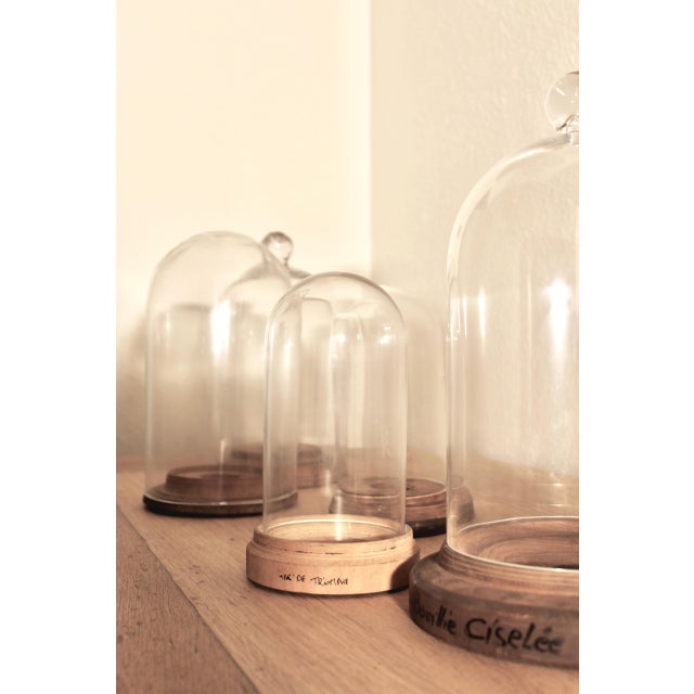 Industrial French Handblown Glass Bell Jar Display with Wooden Stand Marking Arc De Triomphe, Paris, Set of 5 For Sale - Image 3 of 10