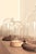 Industrial French Handblown Glass Bell Jar Display with Wooden Stand Marking Arc De Triomphe, Paris, Set of 5 For Sale - Image 3 of 10
