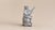 Realism Antique Silver Elephant Figurine With Ruby Eyes Silver Perfume Bottle For Sale - Image 3 of 9