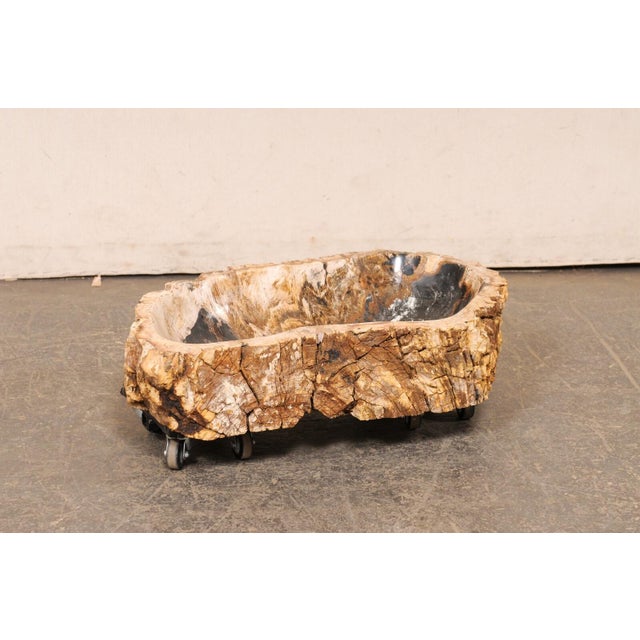 Contemporary Black & Tan Petrified Wood Sink with Live Edge For Sale - Image 3 of 11