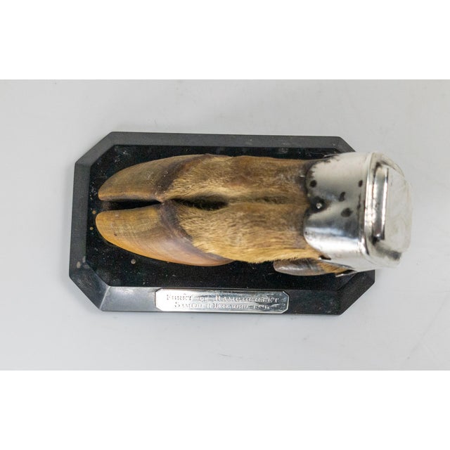 19th Century English Sterling Silver Mounted Deer Hoof Hunting Trophy For Sale - Image 9 of 13