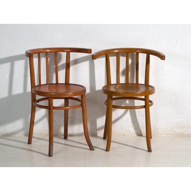 Mundus Bentwood Chairs, 1920, Set of 4 For Sale - Image 3 of 14
