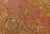 Antique Indian Amritsar Rug in Acidic Yellow, Pink and Ivory With Medallion For Sale - Image 9 of 14