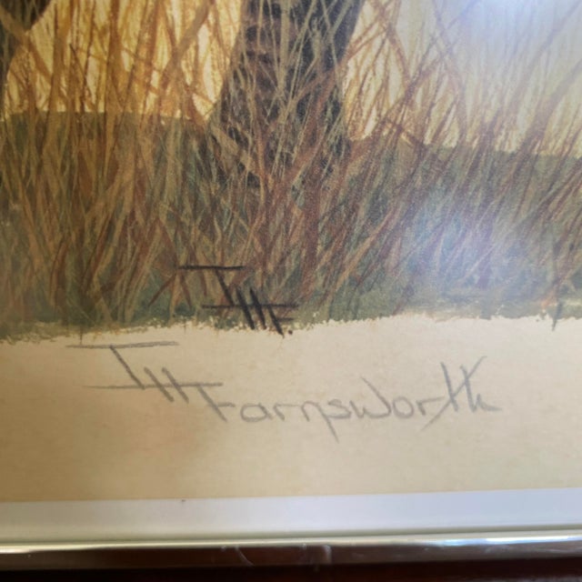 Beautiful lithograph signed by artist Imogene H. Farnsworth, of a standing baby zebra. Signed by artist and framed. Good...