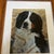 Contemporary original Judy Henn Bernese mountain dog print. Measures 11x14 or 14.5x17.5 framed. Check out my shop Robins...