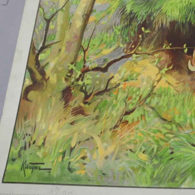 Vintage Fox Mother & Loot Rabbit Poster For Sale - Image 4 of 7