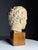 Greek Head Statue in Plaster For Sale - Image 9 of 14