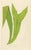 Fern Collection with English Species Names, 1856, Lithograph, Set of 10 For Sale - Image 11 of 14