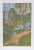 John Healy, Salmon and Green Forest , Serigraph For Sale