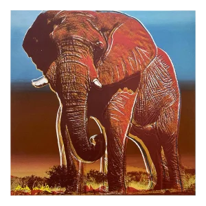 Andy Warhol Vintage 1986 Lmtd Edtn Endangered Species Large Fine Art Lithograph Print " African Elephant " 1983