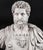 Antique 20th Century Marble Busts of Emperors Lucius Verus & Antoninus Pius, Set of 2 For Sale - Image 15 of 18