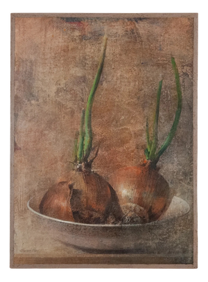 Sprouting Onions Still Life Artist, 1980s, Oil on Panel