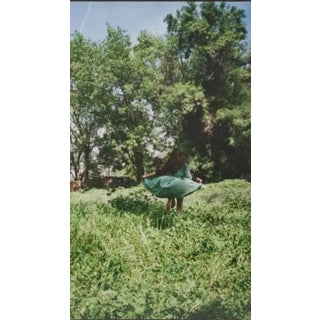 Gia Coppola Original Photograph, Framed For Sale