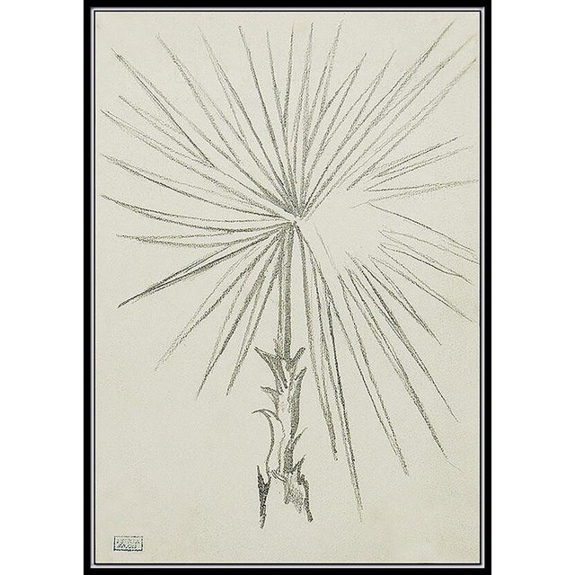 Message us to inquire about custom framing options! (Included for free with every purchase) The incredibly detailed...