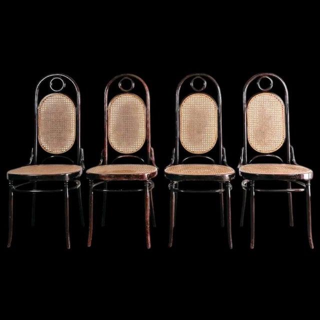 Vintage Four-Chair Dining Set from Sautto & Liberale, 1950s, Set of 4 For Sale - Image 11 of 11
