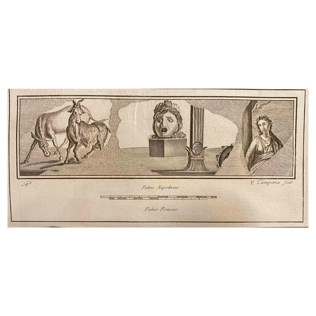 Vincenzo Campana, Pompeian Style Wall Fresco, Etching, 18th Century For Sale