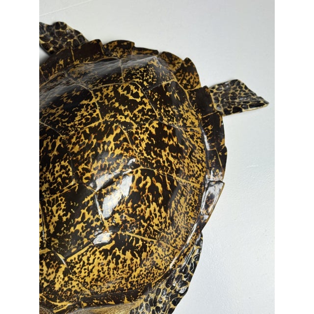 Large size Turtle. Very realistic replica made of plastic. Beautiful for wall decoration or on a table. Late 20th century....