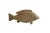 Metal Vintage African Fish Sculpture For Sale - Image 7 of 7
