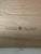 20th C Henry Link for Lexington White Wicker Desk For Sale - Image 10 of 11