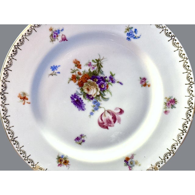 Mid 20th Century Dresden Hand Painted Dinner Plates - Set of 10 For Sale - Image 10 of 12