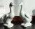 Vintage 14" Chinese Celadon Porcelain Ceramic Duck Figures - a Pair For Sale - Image 10 of 12