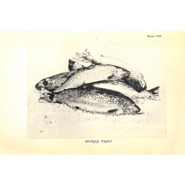 "A Summer on the Test" 1930 Hills, John Waller For Sale - Image 9 of 9