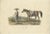 Hurter, A Civil Servant from Java, 1830s, Print For Sale - Image 5 of 5