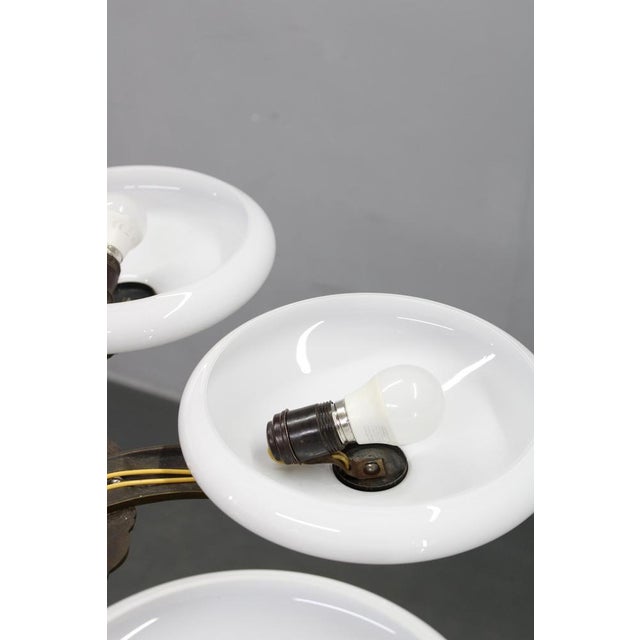 Art Deco Brass Chandelier with 6 Glass Shades, Former Czechoslovakia, 1930s For Sale - Image 11 of 16