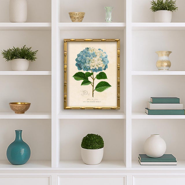 This is print (one) from our "Vintage Blue Hydrangea" series. Please note there are 2 images in this series, see our...