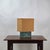 1960s Unique Welded and Patinated Bronze Lamp in the Style of Harry Bertoia For Sale - Image 9 of 10