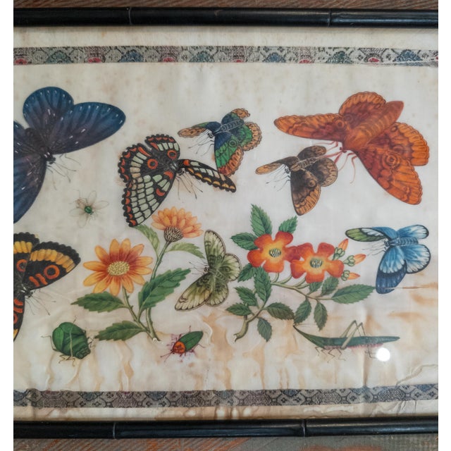 19th Century Chinese Export Watercolor Rice Paper Painting With Butterfly and Moths For Sale - Image 4 of 11