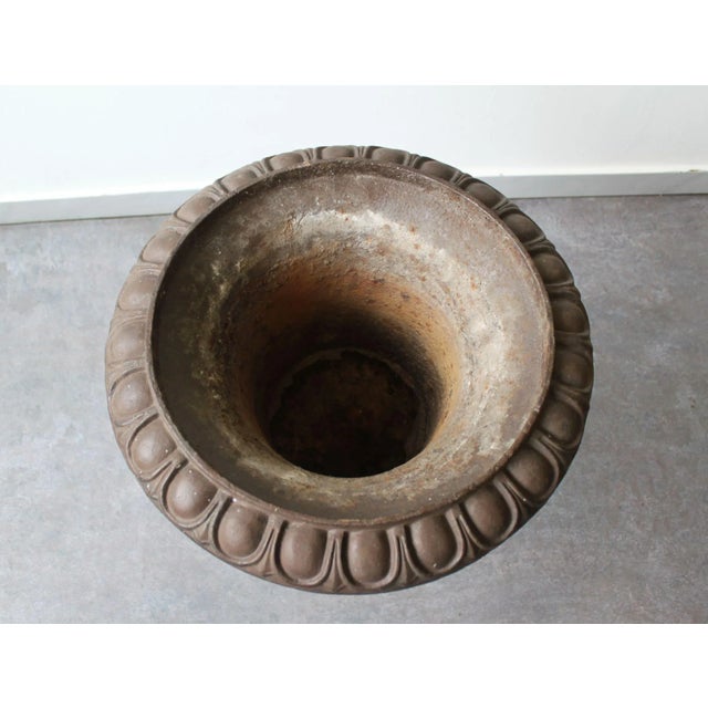 Cast Iron Urn Planter Campana, France For Sale - Image 4 of 8