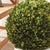 Early 21st Century Boxwood Ball 16" For Sale - Image 5 of 6