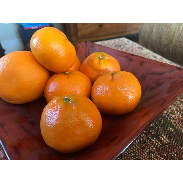 Contemporary Square Bowl For Sale - Image 3 of 4