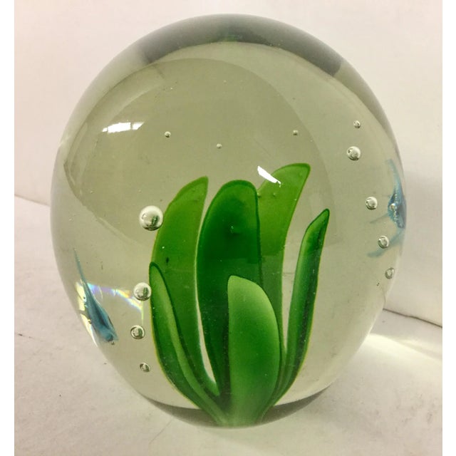 This blue sunfish paperweight is a gorgeous piece of art. The fish is suspended in mid-air, surrounded by clear glass,...