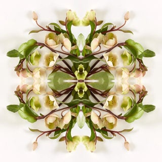 "No. 70" Contemporary Original Op Art Botanical Limited Edition Photograph Print by Erin Derby For Sale