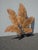 Coastal Picture 35" Tall Brown Metal Leaf Clutter Palm Art Wall Decor For Sale - Image 3 of 16