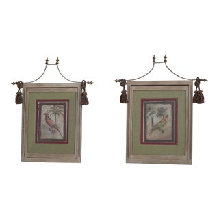 Pair John Richard Paraquet Caribbean Framed Prints For Sale