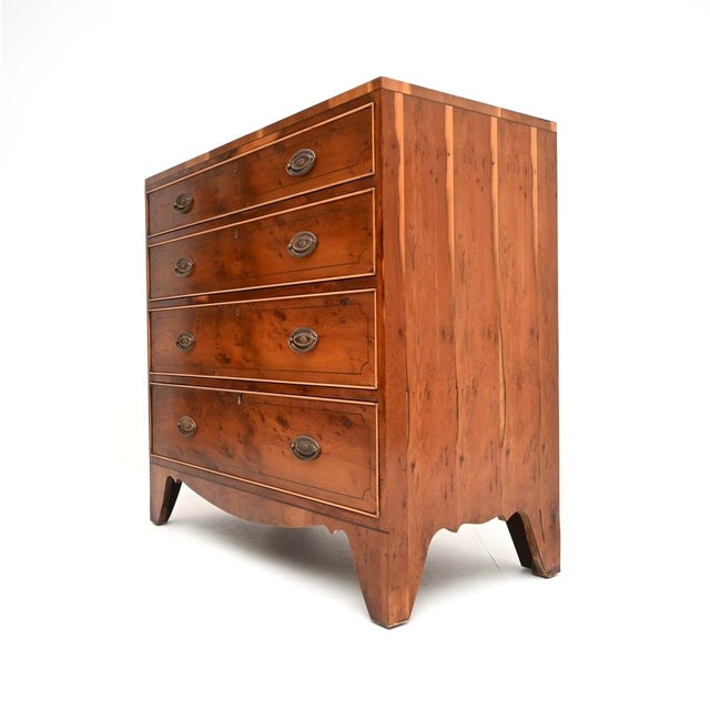 1960s Vintage Regency Style Inlaid Yew Wood Chest of Drawers, 1960 For Sale - Image 5 of 11