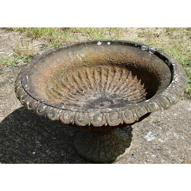 Large Cast Iron Garden Urn, 19th Century For Sale - Image 6 of 8