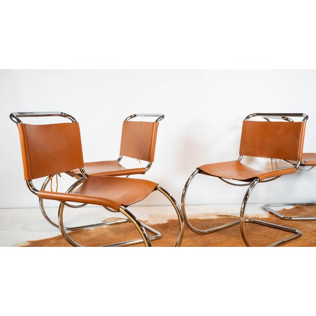 Mid-Century Modern 1970s Mies Van Der Rohe Attr. 'Mr10'. Cognac Leather Chairs - Set of 4 For Sale - Image 3 of 17