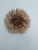 Juju hat beige of 14" (35 cm). Juju hat made with natural feathers and rattan. Juju hat woven and handcrafted. Beautiful...