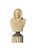 Vanitas Bust Sculpture, Marble For Sale - Image 5 of 5