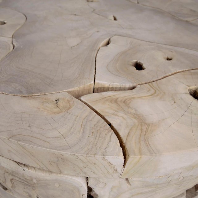 Contemporary Bleached Teak Fragment Organic Coastal Coffee Table For Sale - Image 3 of 3